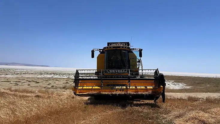 Konya'da çiftçinin gözü kulağı bu hasatta