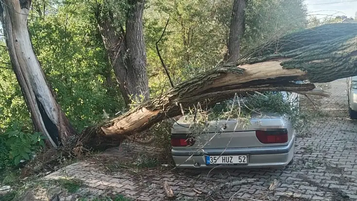 Konya'da fırtına yıktı geçti!