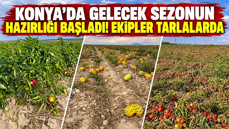 Konya’da gelecek sezonun hazırlığı başladı! Ekipler tarlalarda