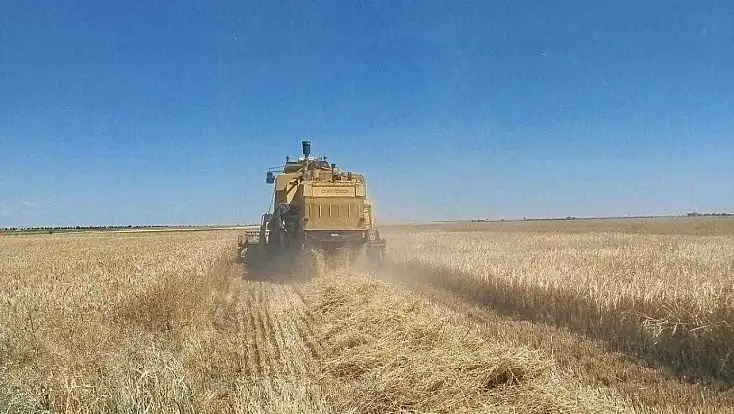 Konya’da hasada denetim freni: Biçerdöverler sahada durduruluyor