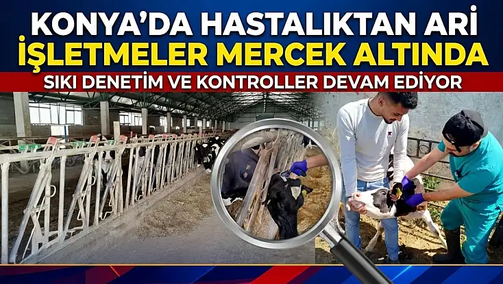 Konya'da hastalıktan ari işletmeler mercek altında