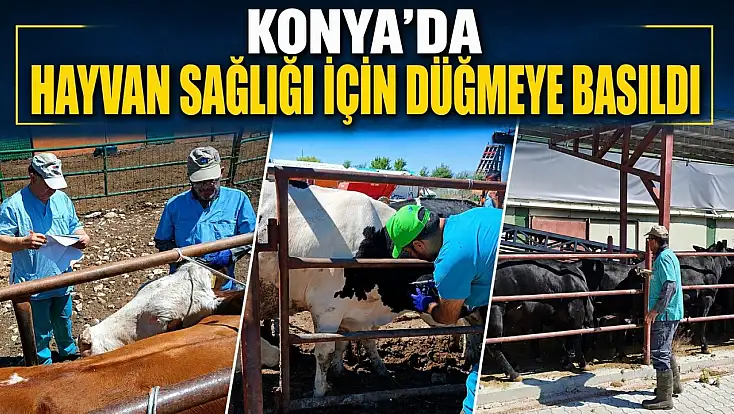 Konya'da hayvan sağlığı için düğmeye basıldı