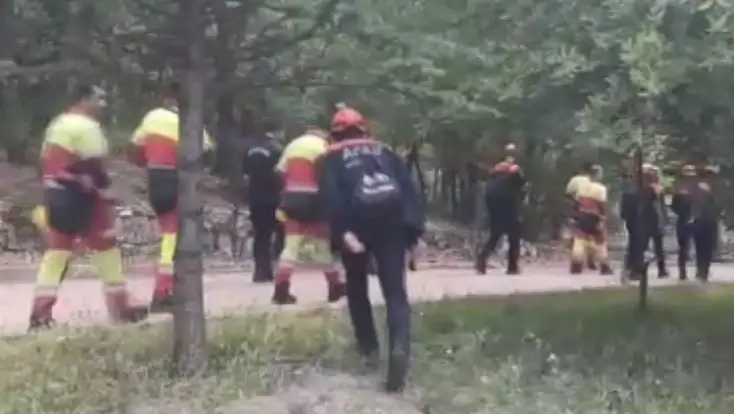 Konya’da hayvanlarını otlatan kadın kayboldu: Her yerde aranıyor!