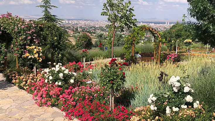 Konya'da huzur arayanların yeni değil vazgeçilmez adresi