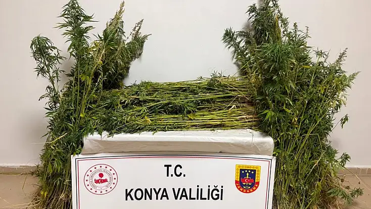 Konya’da jandarmadan peş peşe 59 operasyon! 7 tutuklama
