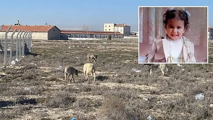 Konya'da köpeklerin parçalayarak öldürdüğü Rana bebek olayında yeni gelişme: 2 kişi hakkında ceza istendi!
