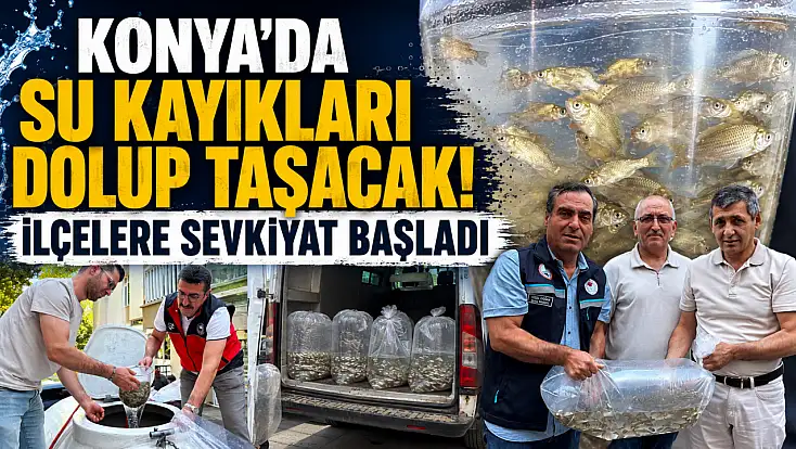Konya'da su kayakları dolup taşacak! İlçelere sevkiyat başladı