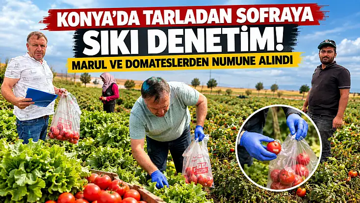 Konya’da tarladan sofraya sıkı denetim! Marul ve domateslerden numune alındı