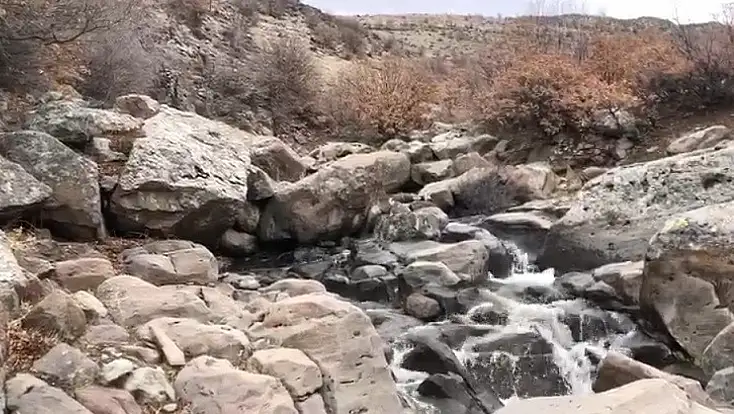 Konya’da umut yeşerdi!