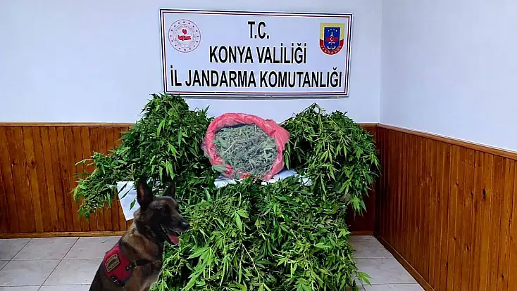 Konya’da uyuşturucu darbesi: Depoda esrar ve kenevir ele geçirildi