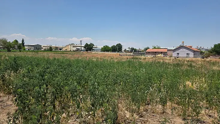 Konya'da zehir tacirlerine darbe: Çok sayıda kişi tutuklandı!