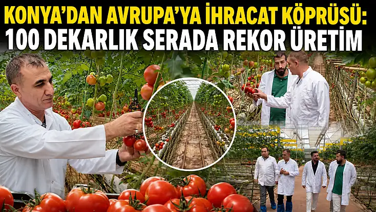 Konya’dan Avrupa’ya ihracat köprüsü: 100 dekarlık serada rekor üretim