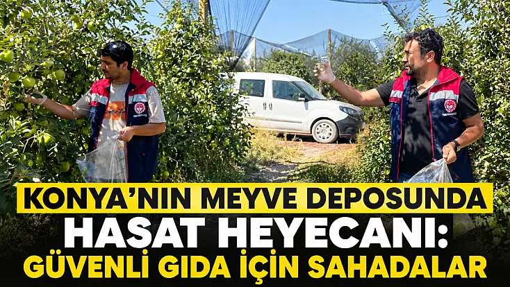Konya’nın meyve deposunda hasat heyecanı: Güvenli gıda için sahadalar