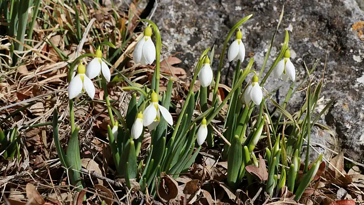 Konya’nın yüksek kesimlerinde şaşırtan manzara!