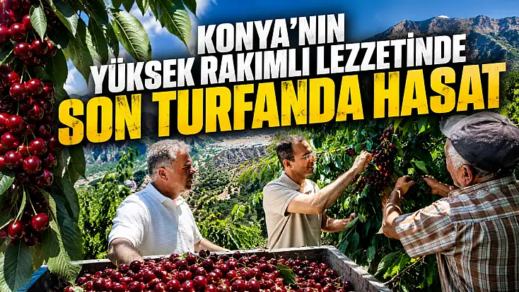 Konya’nın yüksek rakımlı lezzetinde son turfanda hasat