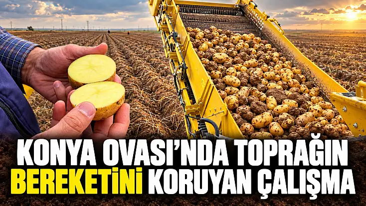 Konya Ovası’nda toprağın bereketini koruyan çalışma