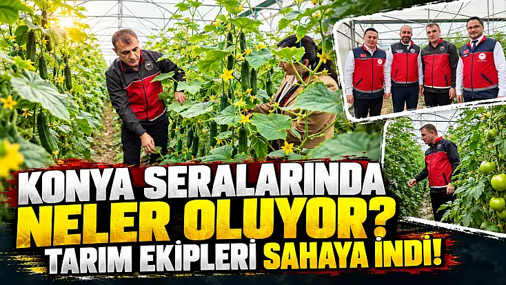 Konya seralarında neler oluyor? Tarım ekipleri sahaya indi!