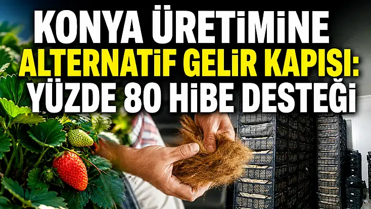 Konya üretimine alternatif gelir kapısı: Yüzde 80 hibe desteği