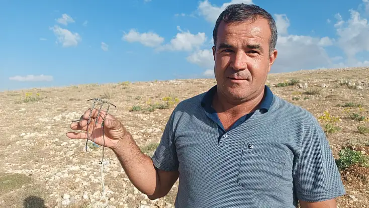 Konya'ya gelirken tuzağı fark ettiler, hemen müdahale ettiler