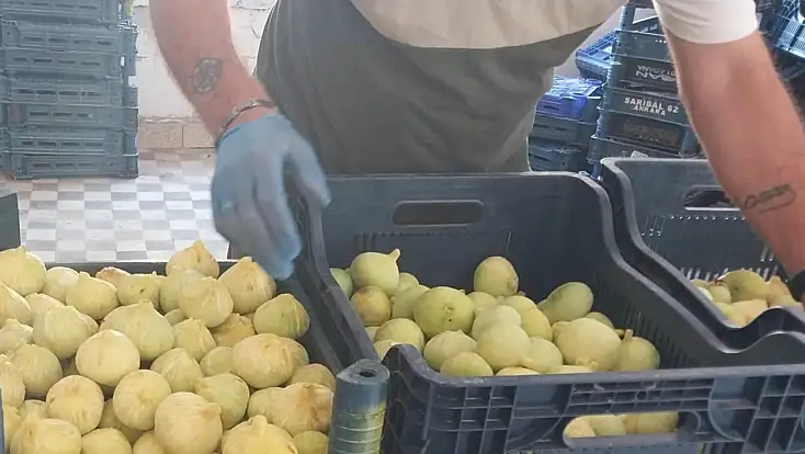 Konyalılar bu lezzette hasret kalacak!