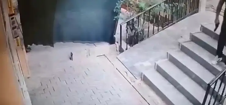 4 yaşındaki çocukların kavgası silahlı tehdide dönüştü