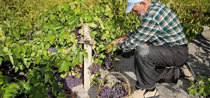 58 yıllık eşine her doğum gününde aynı hediyeyi veriyor! Nedeni ise yürekleri ısıttı