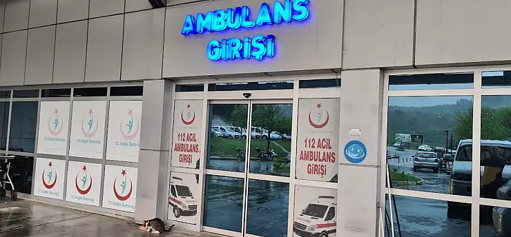 Arı sokması hayati tehlikeye yol açtı: Yoğun bakıma alındı!