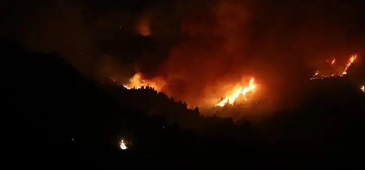 Aşırı sıcaklar orman yangınlarına neden oldu: 12 ölü