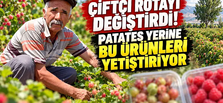 Çiftçi rotayı değiştirdi! Patates yerine bu ürünleri yetiştiriyor