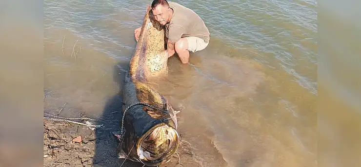 Görenler hayrete düştü! Tam 157 kilo