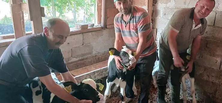 Görenleri hayrete düşüren doğum: Bereketin simgesi