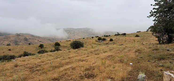 Hayvanlarını otlatmaya gitti, yıldırım kurbanı oldu