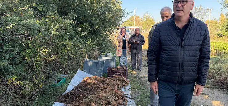 Konya'da alternatif ürün hasadında bereket zamanı
