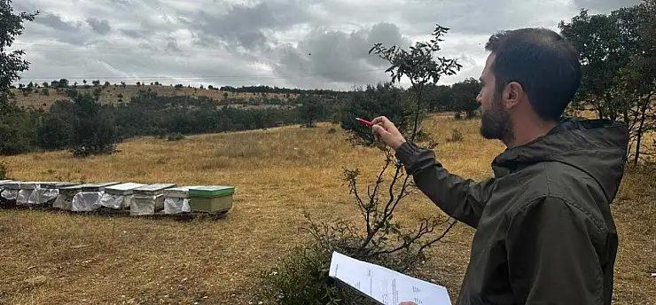 Konya'da arıcılık işletmelerine yönelik çalışmalar sürüyor