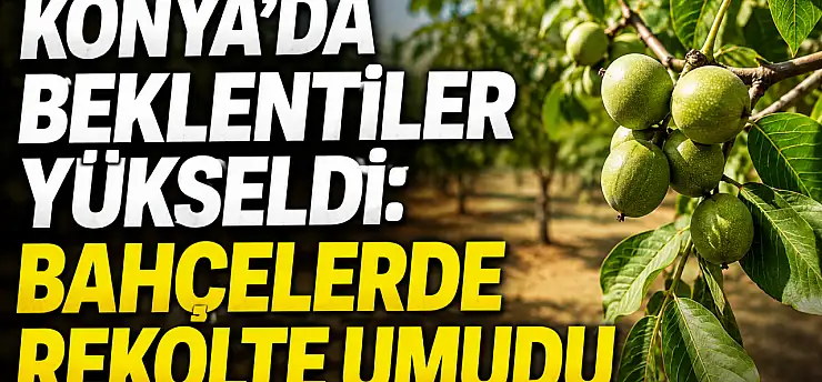 Konya'da beklentiler yükseldi: Bahçelerde rekolte umudu