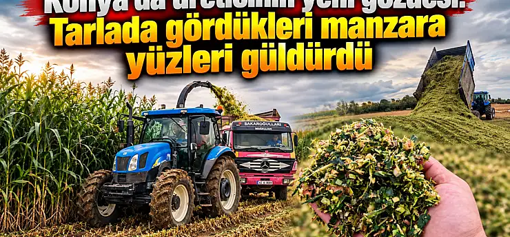 Konya'da üreticinin yeni gözdesi: Tarlada gördükleri manzara yüzleri güldürdü
