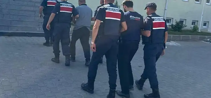 Köpeklerin kavgasında çobanı öldürdüler!