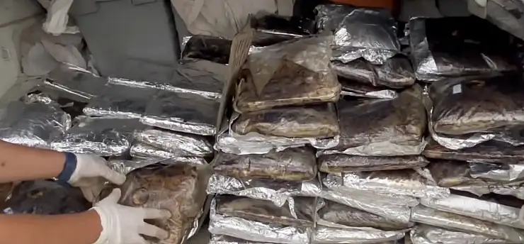Nefes kesen operasyon! 132 kilo toz esrar ele geçirildi