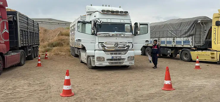 Park halindeki TIR'da acı son: Yatak kısmında ölü bulundu