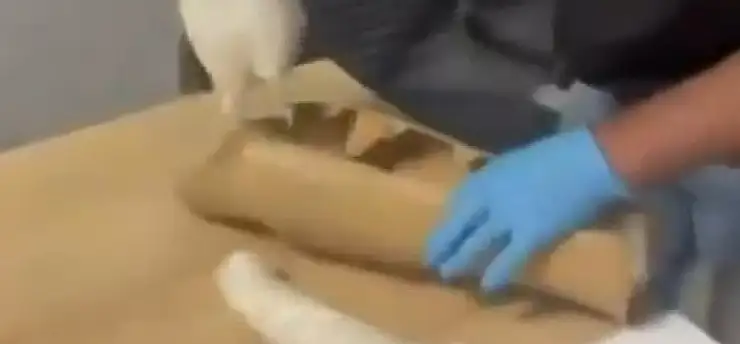 Polis aramasında şoke eden görüntü! Uyuşturucuyu böyle gizlemiş
