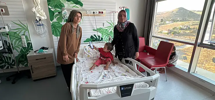 Sahipli köpek dehşeti: 2 yaşındaki çocuk başından yaralandı
