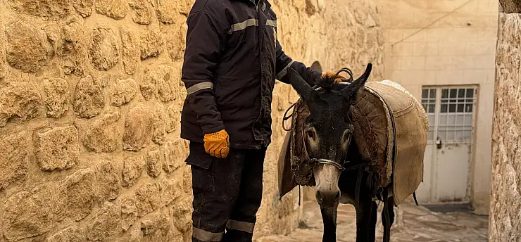 Teknoloji, kadrolu eşekleri emekliye ayırıyor