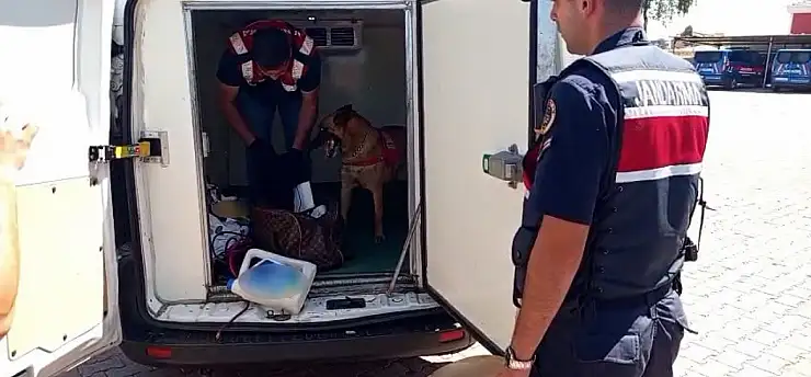 Zehir tacirine karşı Zırh engeli! Geçit vermedi
