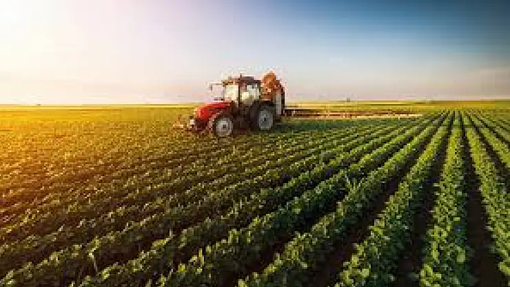 1 Eylül'de başlıyor.. Tarlası boş kalanın arazisini devlet kiraya verecek! Parası ise...