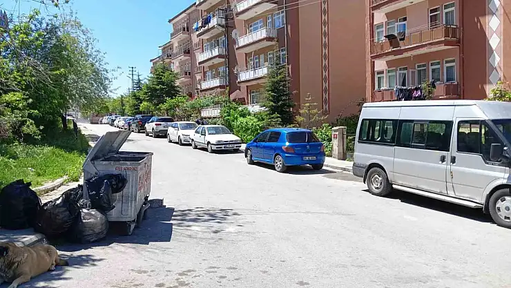 15 yaşındaki çocuk ablasını öldürdü