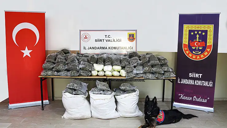 170 kilogram esrar ele geçirildi