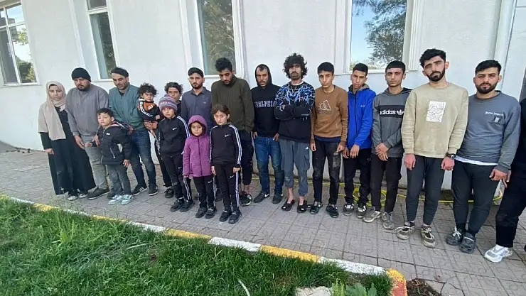 19 Düzensiz göçmen yakalandı