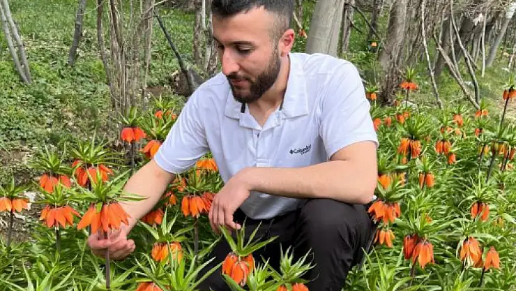 20 günlük 'Ağlayan Gelin'e zarar vermenin bedeli ağır oluyor!