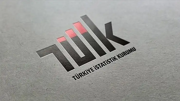 2024 yılı son çeyrek verileri açıklandı: İşsizlikte düşüş, istihdamda artış