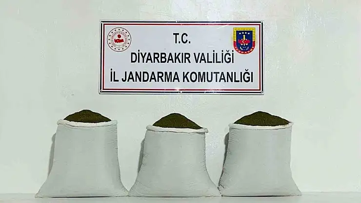 230 kilo toz esrar ele geçirildi